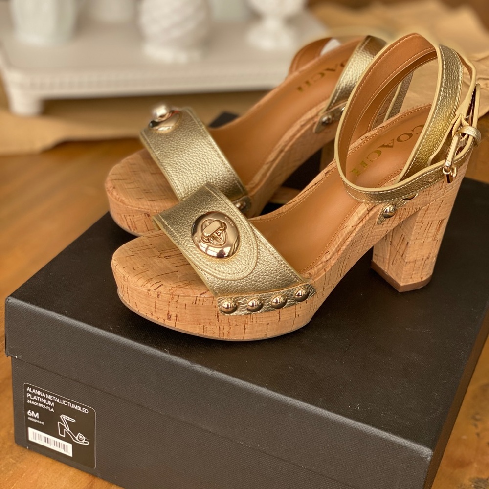 Coach ALANNA METALLIC TUMBLED
PLATINUM